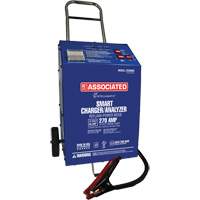 Chargeur 12 V 60 A &agrave; roues Intellamatic Cam Industrial