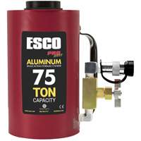 Heavy-Duty Hydraulic Cylinder, 6" Stroke, 75 Ton(s) Capacity, 10000 PSI Cam Industrial