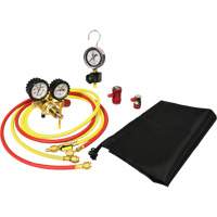 Automotive A/C Nitrogen Leak Test Kit with Regulator Cam Industrial