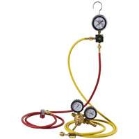 Automotive A/C Nitrogen Leak Test Kit with Regulator Cam Industrial
