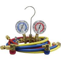 Automotive Manifold Gauge Set with Economy Couplers Cam Industrial