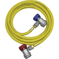 Ensemble flexible de rinçage pour syst&egrave;me de climatisation R134a Cam Industrial