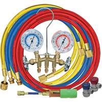 Manifold Gauge Set with Manual Couplers & Mini Dye Injector Cam Industrial