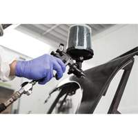 Performance Fine Finish Spray Gun System with PPS Cups, 13 CFM, 29 PSI Cam Industrial