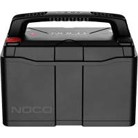 Batterie lithium-ion LiFePO4 &agrave; double usage de groupe 31, 120 Ah Cam Industrial