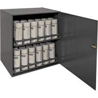 Aerosol Storage Cabinet, Steel, 21-7/8" H x 15-15/16" W x 20-5/16" D, Grey Cam Industrial