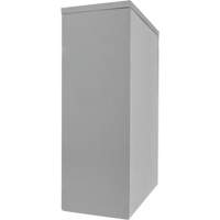 Armoire de rangement &agrave; hauteur de comptoir, Acier, 2 Tablettes, 42" h x 48" la x 24" P, Gris Cam Industrial