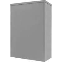 Armoire de rangement &agrave; hauteur de comptoir, Acier, 2 Tablettes, 42" h x 48" la x 24" P, Gris Cam Industrial