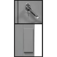 Armoire de rangement &agrave; hauteur de comptoir, Acier, 2 Tablettes, 42" h x 48" la x 24" P, Gris Cam Industrial