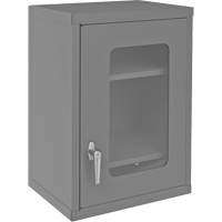 Wall-Mountable Storage Cabinet with Clearview Doors, 26-15/16" H x 18-1/8" W x 13-11/16" D, 2 Shelves, Steel, Grey Cam Industrial