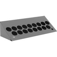 Aerosol Bin Topper Cam Industrial