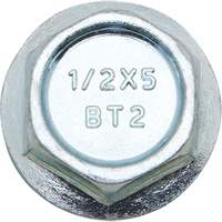 Wedge Bolts, Carbon Steel, 1/2" x 2" Cam Industrial