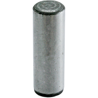 Tenon de guidage, Ordinaire, 1-1/2" lo, 1/4" Dia. Cam Industrial