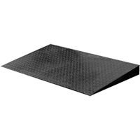VN Series Economical Floor Scales - Ramp Cam Industrial