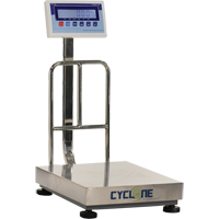 Balance &agrave; plateforme et d'&eacute;tabli Cyclone 150, Capacit&eacute; de 300 lb / 150 kg, 15-3/4" lo x 19-7/10" la Cam Industrial