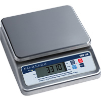 Bench Weighing Scale, 15 Kg Cap., 1 g Graduations Cam Industrial