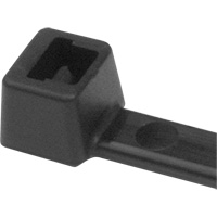 PA66 Cable Ties, 5-1/2" Long, 18 lbs. Tensile Strength, Black Cam Industrial