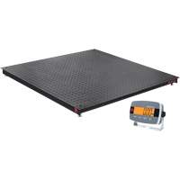 Balance de plancher DEFENDER 3000, Capacit&eacute; de 2500 lb, 48" la x 48" lo Cam Industrial