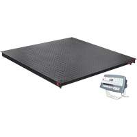 Balance de plancher DEFENDER 5000, Capacit&eacute; de 2500 lb, 48" la x 48" lo Cam Industrial