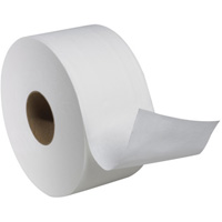 Advanced Soft Mini Toilet Paper, Jumbo Roll, 2 Ply, 751' Length, White Cam Industrial