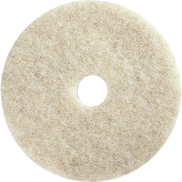 Floor Maintenance Pads, 21", Burnishing, Brown Cam Industrial