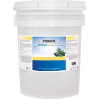 Dynamite Odourless Stripper & Degreaser, 20 L, Pail Cam Industrial
