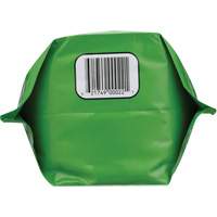 Biodegradable Hand Cleaner, Powder, 4.5 lbs., Packet, Unscented Cam Industrial