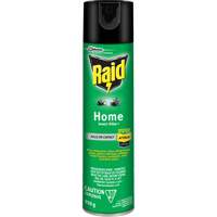 Insecticide pour insectes domestiques Raid, 350 g, &agrave; base de solvant Cam Industrial