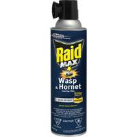 Mousse insecticide contre les gu&ecirc;pes et les frelons Raid Max, 500 g, Canette a&eacute;rosol, &agrave; base de solvant Cam Industrial