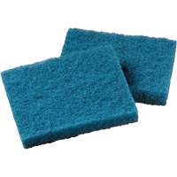 Non-Stick Cookware Cleaning Pad, Scrubbing, 5-1/4" W x 4" L Cam Industrial