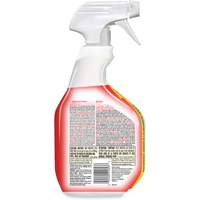 Disinfecting Bio Stain & Odour Remover, 946 ml, Trigger Bottle Cam Industrial