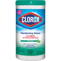 Disinfecting Wipes, 75 Count Cam Industrial
