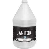 Janitori 01 Window Cleaner, 4 L, Jug Cam Industrial