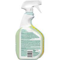 Nettoyant d&eacute;sinfectant CloroxPro Clorox EcoClean, 946 ml, Bouteille &agrave; g&acirc;chette Cam Industrial