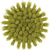 Brosse ronde HyDrive pour perceuse, Soies Tr&egrave;s ferme, Longueur de 3-1/10", Jaune Cam Industrial