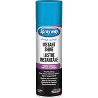 Brillant instantan&eacute; Pro Line pour surfaces en plastique, 11 oz, Canette a&eacute;rosol Cam Industrial