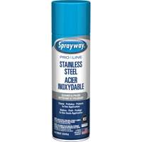 Nettoyant & polis pour acier inoxydable Pro Line, 15 oz, Canette a&eacute;rosol Cam Industrial
