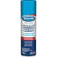 Nettoyant tout usage Pro Line Crazy Clean, 19 oz., Canette a&eacute;rosol Cam Industrial
