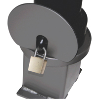 Bornes d&eacute;coratives amovibles, Acier, 40" h x 4-1/2" la, Noir Cam Industrial