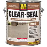 Produit d&eacute;tanch&eacute;it&eacute; protecteur Seal-Krete, 3,78 L, &agrave; l'ur&eacute;thane, Satin, Transparent Cam Industrial