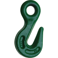 Alloy Steel Hooks Cam Industrial