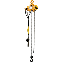 Budgit&reg; Air Chain Hoists Cam Industrial