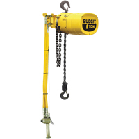 Budgit&reg; Series 6000 Air Hoists Cam Industrial