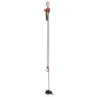 Mini Lever Hoist, 15' Lift, 500 lbs. (0.25 tons) Capacity, Steel Chain Cam Industrial