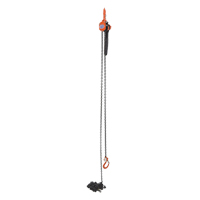 Mini Lever Hoist, 15' Lift, 1000 lbs. (0.5 tons) Capacity, Steel Chain Cam Industrial