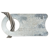 Wire Rope Lifting Sling - Eye & Eye Cam Industrial