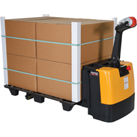 Fully Powered Electric Pallet Truck, 3000 lbs. Cap., 47" L x 25" W Cam Industrial