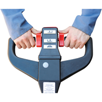 Fully Powered Electric Pallet Truck, 4500 lbs. Cap., 48" L x 30.25" W Cam Industrial