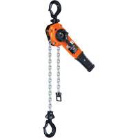 Series 653-A Ratchet Lever Hoist, 5' Lift, 1500 lbs. (0.75 tons) Capacity, Steel Chain Cam Industrial