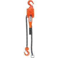 Lever Hoist, 5' Lift, 6000 lbs. (3 tons) Capacity, Alloy Steel Chain Cam Industrial